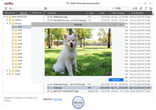 Scanning Completed Successfully
